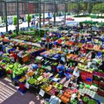 Mercat de la fruita i la verdura de Figueres (2)