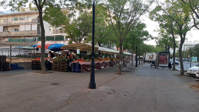 mercat de can gibert del Pla de Girona 2
